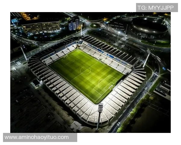 足球的魅力与激情在绿茵场上的绽放与传承